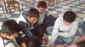 20170629_104229.jpg